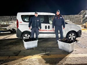 Civitavecchia - Trovato pescatore di frodo con oltre mille ricci di mare
