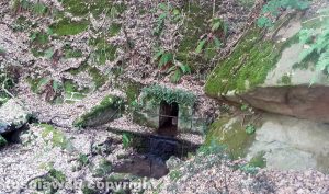 Diga al fosso della Palanzana