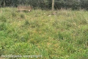 Viterbo - Monnezza e erba alta nei giardini di viale Bruno Buozzi