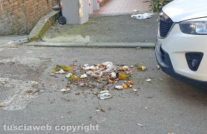 Viterbo - Via Treviso al degrado