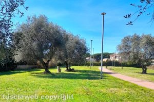 Viterbo - Lo sfalcio dell'erba ai giardinetti di Santa Lucia