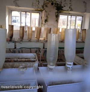 Bolsena - L'incubatorio ittico