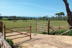 Tarquinia - Il nuovo parcheggio della Necropoli di Monterozzi