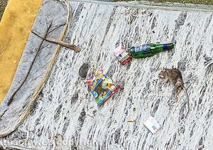 Viterbo - Ratto al giardino del Pilastro