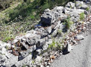 Viterbo - Monte Rizzo - Il muretto in rovina