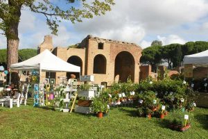 Civitavecchia - Terme in fiore
