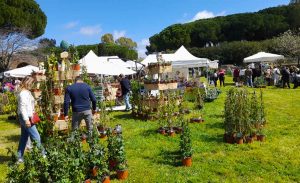 Civitavecchia - Terme in Fiore