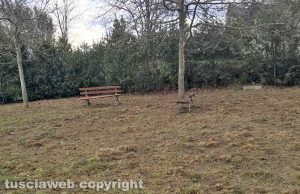 Viterbo - Monnezza e erba alta nei giardini di viale Bruno Buozzi