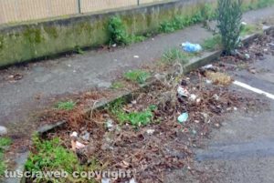 Viterbo - Sporcizia in via Monti Cimini