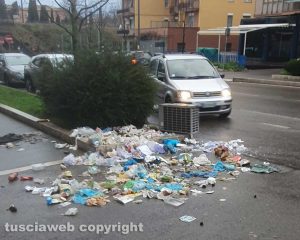 Viterbo - Via Genova dopo il passaggio dei cinghiali