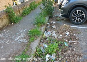 Viterbo - Erbacce in via dei Monti Cimini