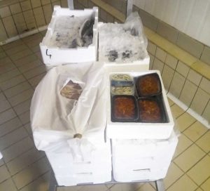 Guardia Costiera - Controlli centro distribuzione