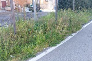 Montalto di Castro - Incuria a Pescia Romana
