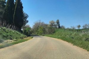 Tarquinia - La strada della Roccaccia