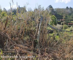 Tobia - Il palo con i cavi del telefono