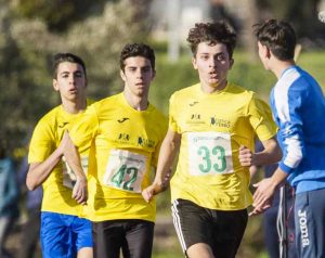 Finass - Bossi, Nicolardi, Fusco