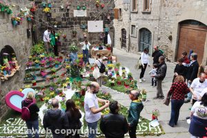 Viterbo in festa nella giornata di domenica 30 aprile