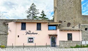 Viterbo - Il pacchero