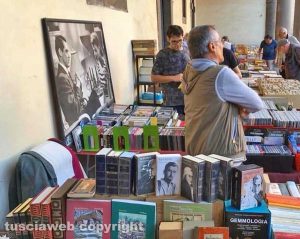 Paperonly, il mercatino del collezionismo cartaceo sotto i portici