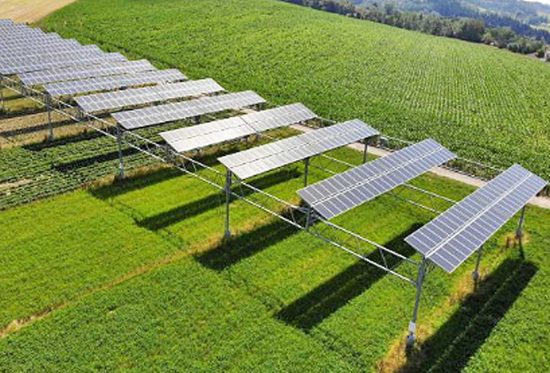 Un impianto agrivoltaico - Immagine di repertorio