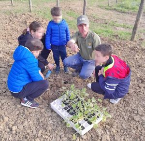 Tarquinia - Festa della Merca
