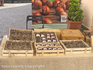 Viterbo - Furto allo stand Tuscia in bio
