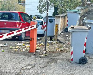 Immondizia in via Treviso
