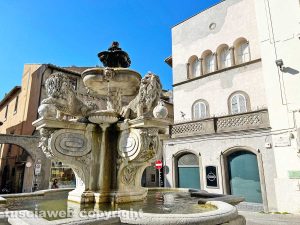 Viterbo - Piazza delle erbe