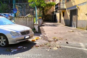 Viterbo - L'immondizia dopo il passaggio dei cinghiali