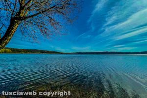 La riserva naturale Lago di Vico