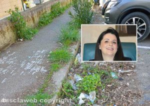 Viterbo - Erbacce in una via della città e nel riquadro la sindaca Chiara Frontini