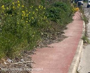 Viterbo - Erbacce su strada Bagni