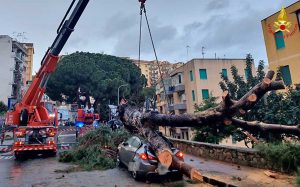 Messina - Il pino precipitato su un'auto in sosta