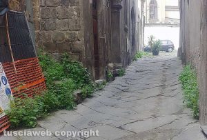 Viterbo - Erbacce nei vicoli del centro