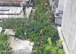 Montefiascone - L'erba alta tra le tombe della parte vecchia del cimitero