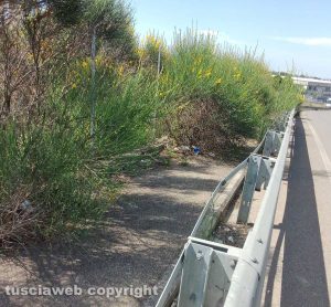 Viterbo - Marciapiedi impraticabili sulla Teverina