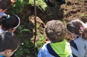 Piantati tre nuovi alberi nel giardino della scuola materna di Tobia