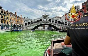 Venezia - Colore verde fluo nelle acque del canale Grande