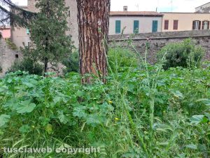 Viterbo Giardino via Diaz