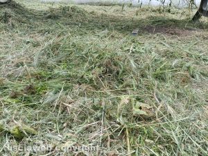 Viterbo - Giardino di via Ioppi