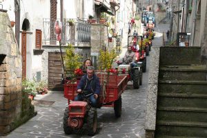 Latera - Festa agricola di Sant'Isidoro