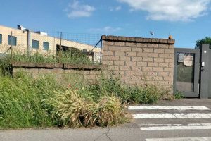 Montalto di Castro - Incuria negli spazi verdi dell'istituto Farnese