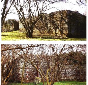 Soriano nel Cimino - Cisterna romana