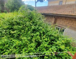 Guardino scuola Ruffini