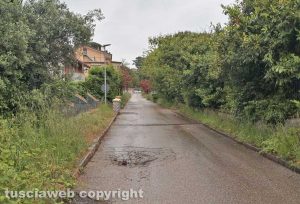 San Martino al Cimino - Via Lombardia tra buche e alberi da potare