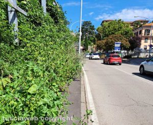 Viterbo - Erbacce a via della Ferrovia (Immagine di repertorio)