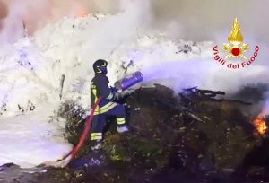 Narni - Rogo in un'azienda che smaltisce rifiuti organici