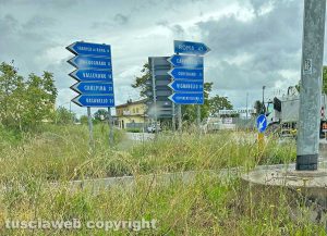 Ronciglione - Scarsa visibilità i prossimità del bivio Trenta Miglia - Erbacce