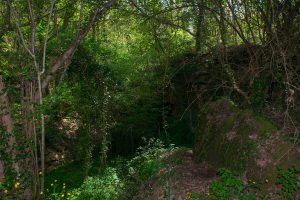 Villa San Giovanni in Tuscia - Un tratto del percorso