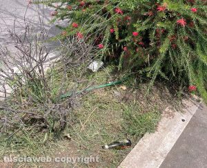 Viterbo - Erbacce, piante secche e immondizia in via Genova